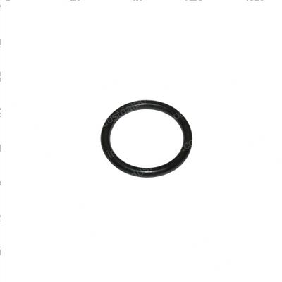 Picture of O-Ring
