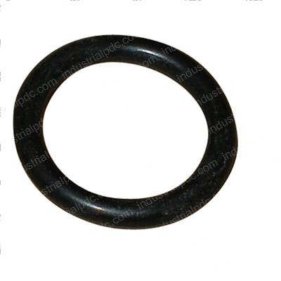 Picture of O-Ring