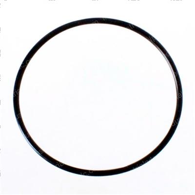 Picture of O-Ring