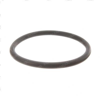 Picture of O-Ring