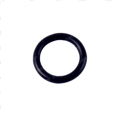 Picture of O-Ring