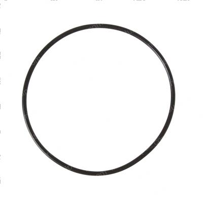 Picture of O-Ring