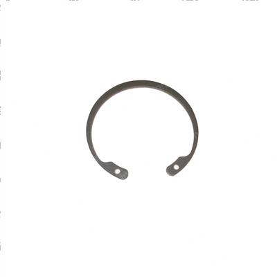 Picture of Retaining Ring