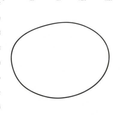 Picture of O-Ring