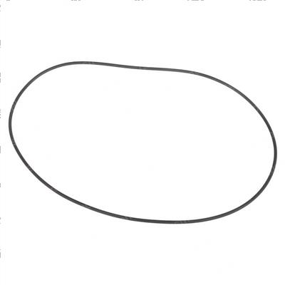 Picture of O-Ring