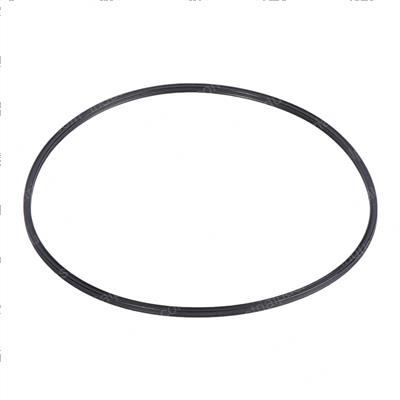Picture of O-Ring - Square