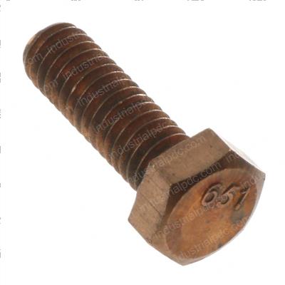 Picture of Screw - Bronze Hex Cap