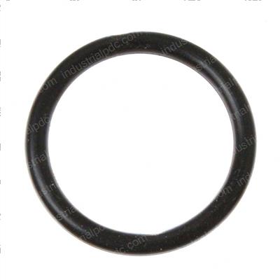 Picture of O-Ring