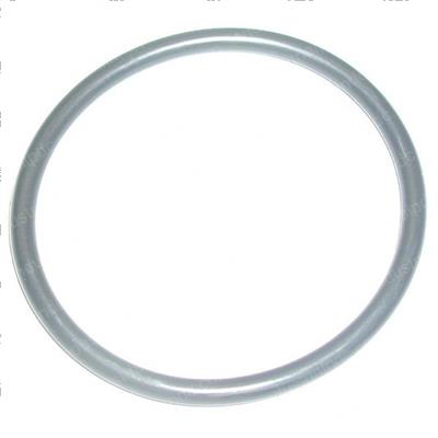 Picture of O-Ring