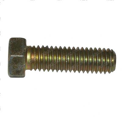 Picture of Bolt