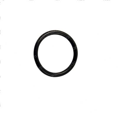 Picture of O-Ring