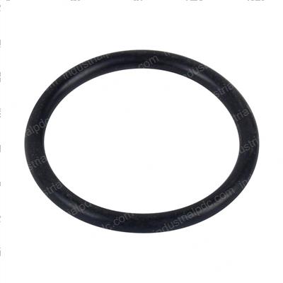 Picture of O-Ring