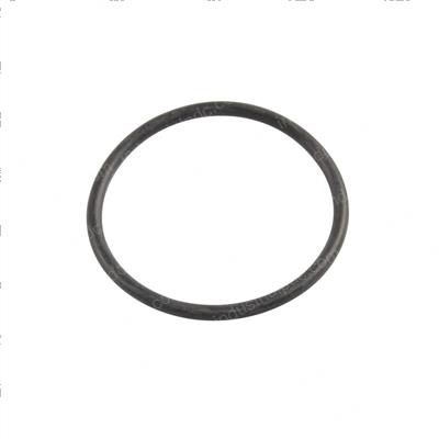 Picture of O-Ring