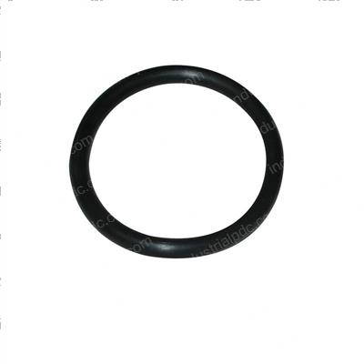 Picture of O-Ring
