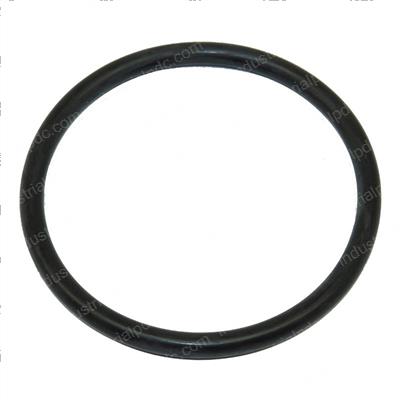 Picture of O-Ring