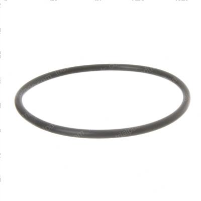 Picture of O-Ring
