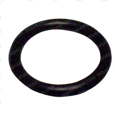 Picture of O-Ring