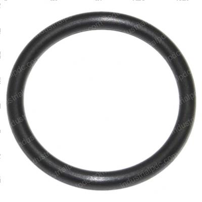 Picture of O-Ring