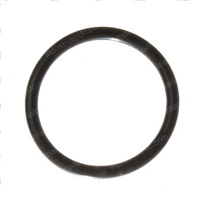 Picture of O-Ring