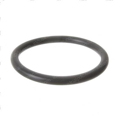 Picture of O-Ring