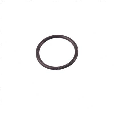 Picture of O-Ring