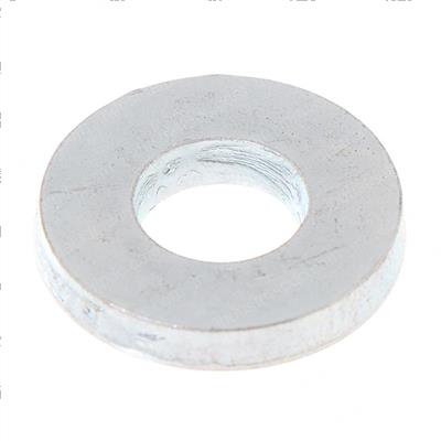 Picture of Washer M10