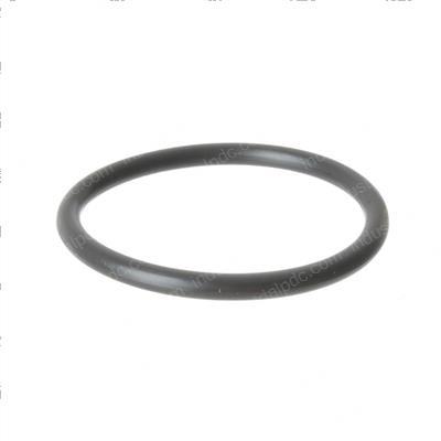 Picture of O-Ring