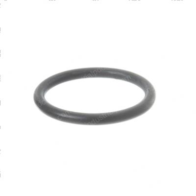 Picture of O-Ring