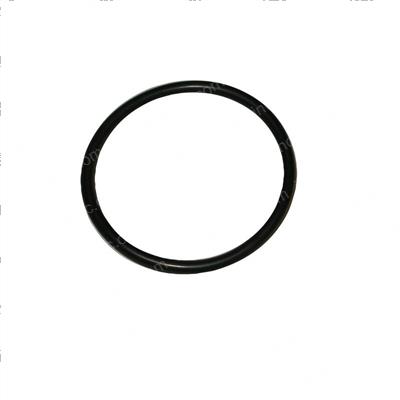 Picture of O-Ring