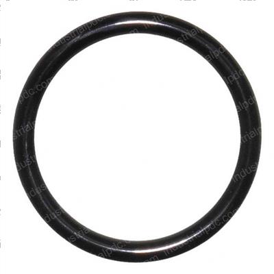 Picture of O-Ring