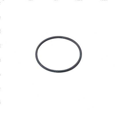 Picture of O-Ring