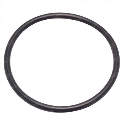 Picture of O-Ring