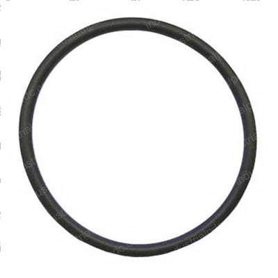 Picture of O-Ring