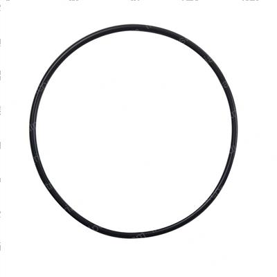 Picture of O-Ring