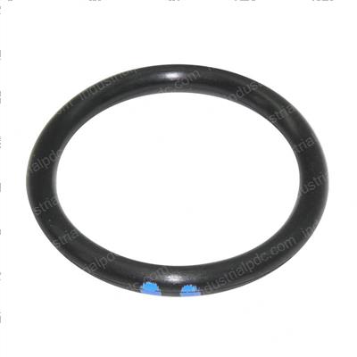 Picture of O-Ring