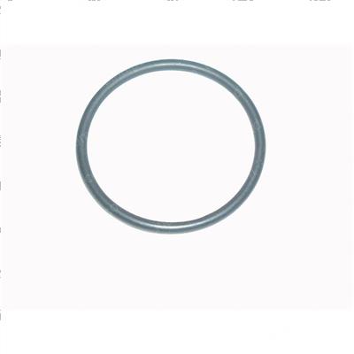 Picture of O-Ring