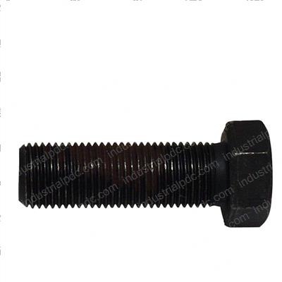 Picture of Bolt