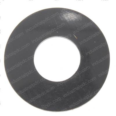 Picture of Washer Nylatron