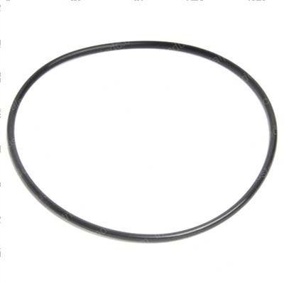 Picture of O-Ring