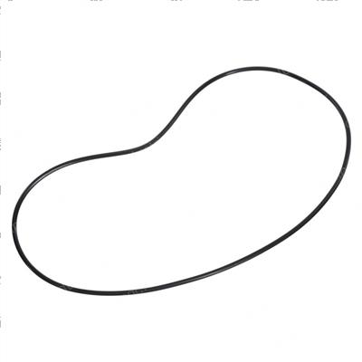 Picture of O-Ring