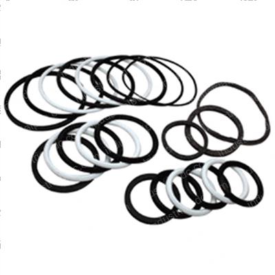 Picture of Seal Kit - Hydraulic Cylinder