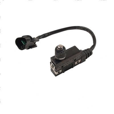 Picture of Switch - Micro