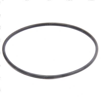 Picture of O-Ring