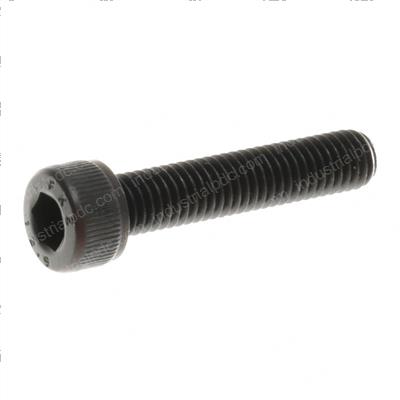 Picture of Bolt