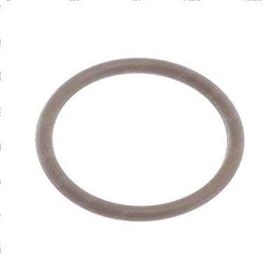 Picture of O-Ring