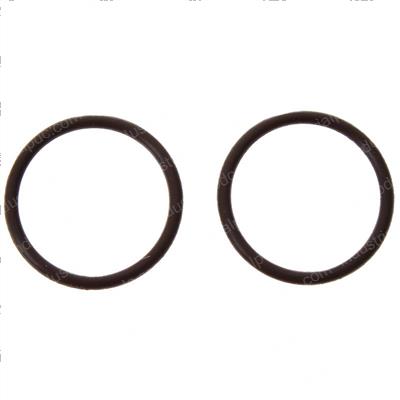 Picture of O-Ring