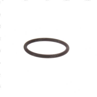 Picture of O-Ring