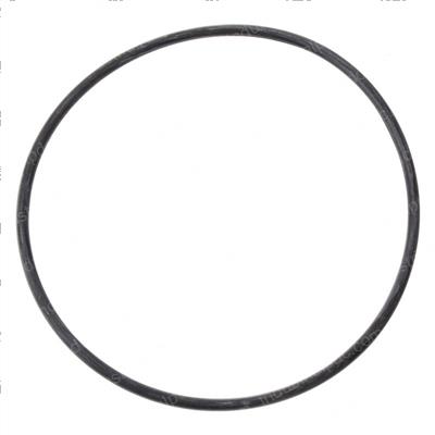 Picture of O-Ring