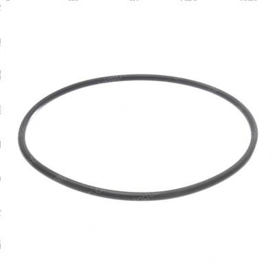 Picture of O-Ring