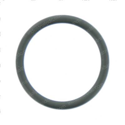 Picture of O-Ring